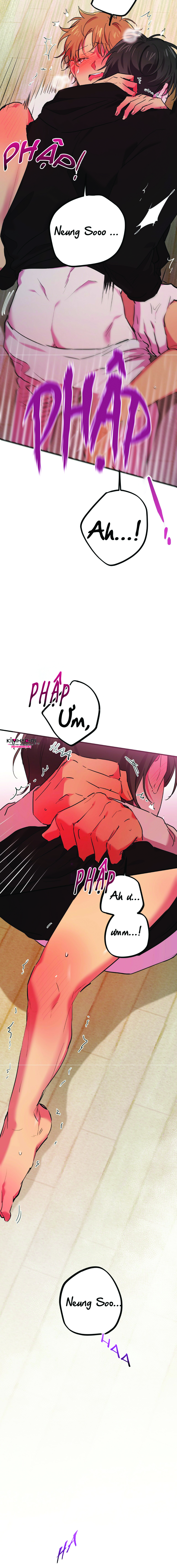 những chú thỏ của hapypy chapter 9 12