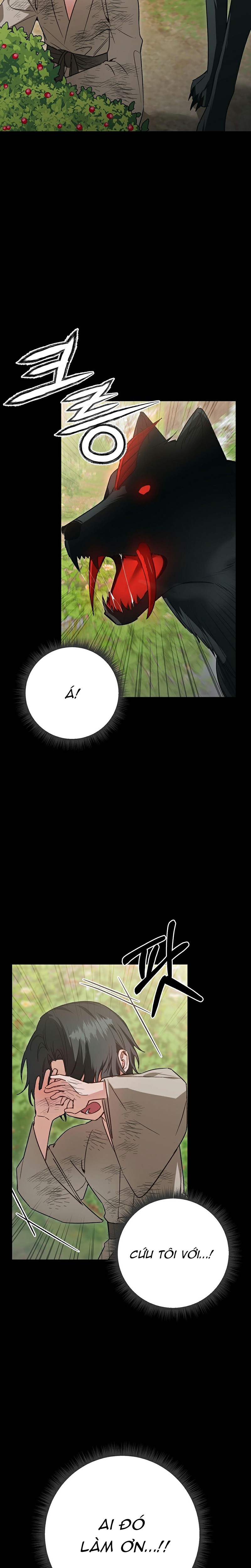 đệ tử ở thế giới khác đã bắt cóc ta chapter 11 17
