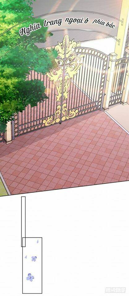 khế ước với người yêu cũ của đế thiếu chapter 1 46