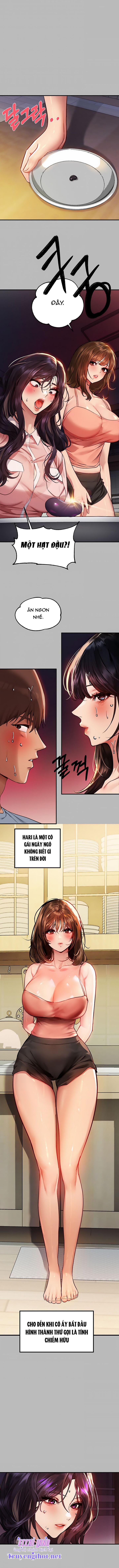 chị chủ nhà của tôi chapter 54.2 1