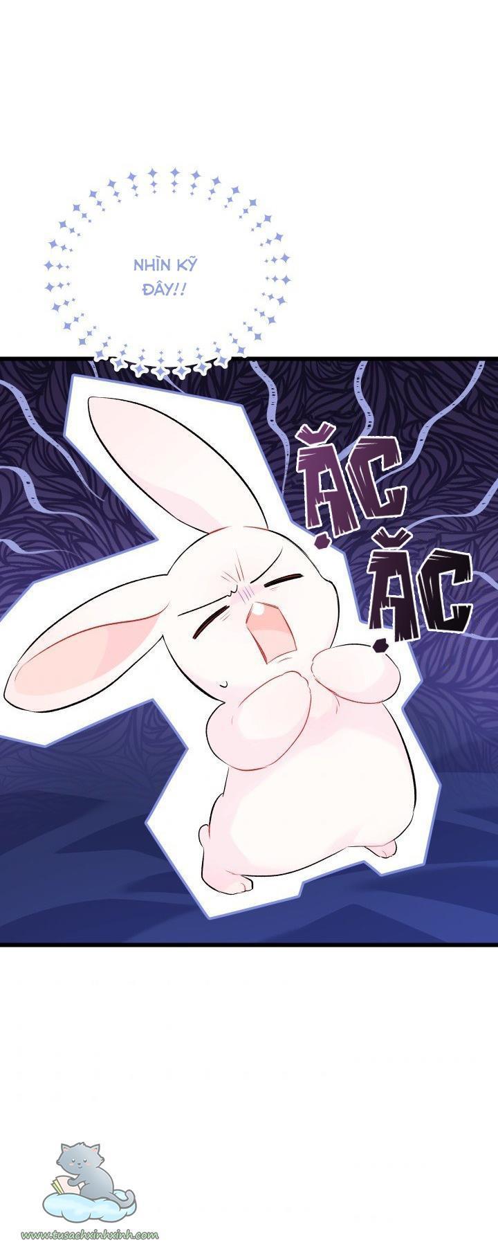quan hệ cộng sinh giữa báo đen và thỏ trắng chapter 46 67