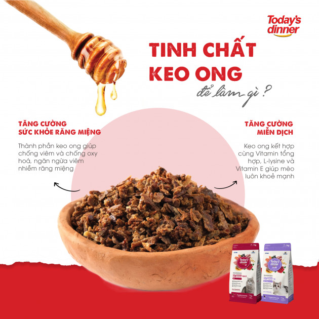 - Thức ăn hạt cho mèo nhỏ Today dinner HÀN QUỐC