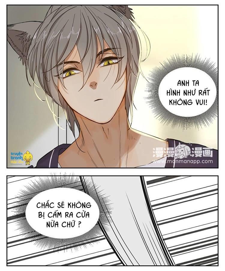 cứu mạng ! loài mèo thống trị thế giới rồi ! chapter 12 16