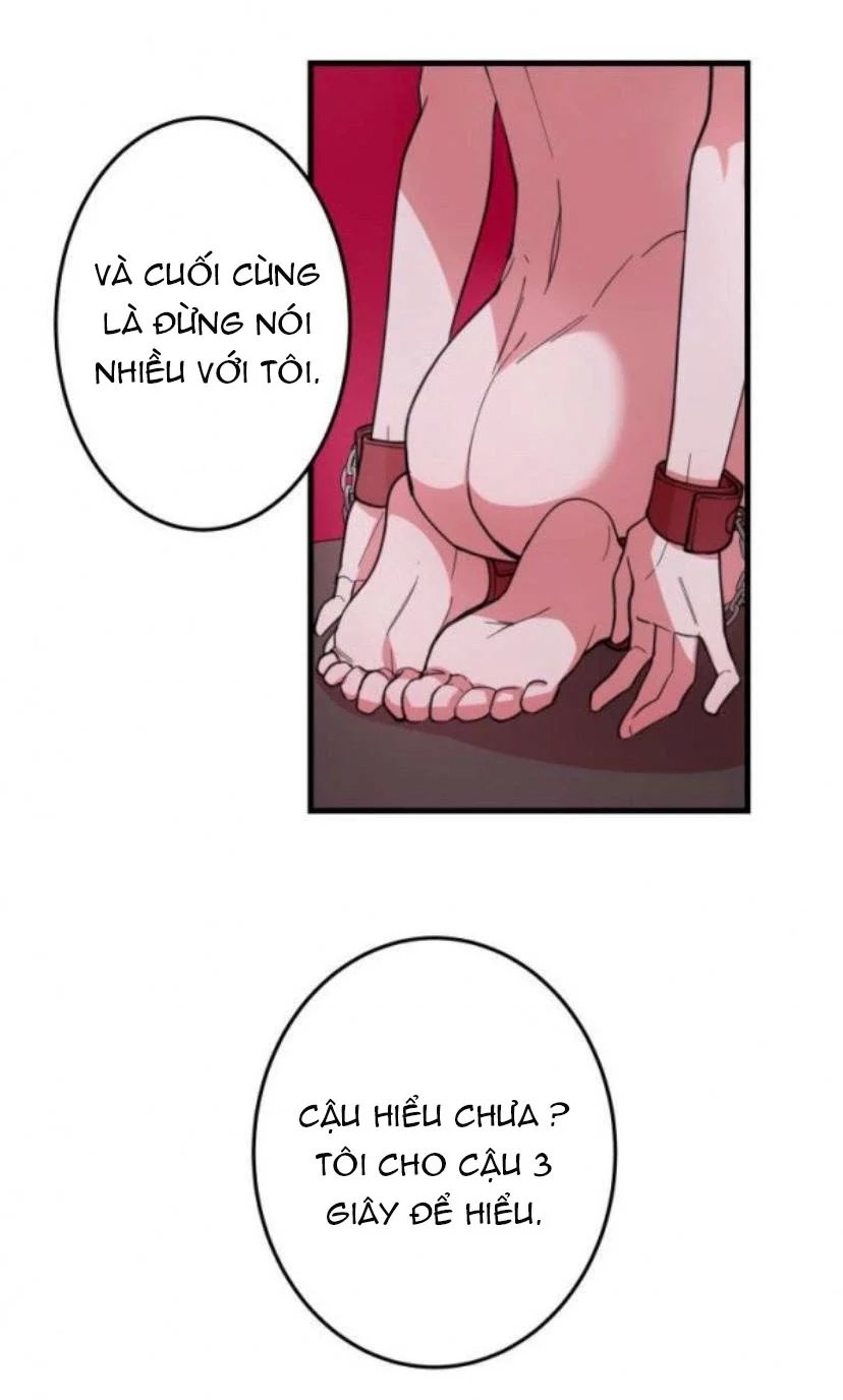 người tình dâm đãng của tôi chapter 4 8