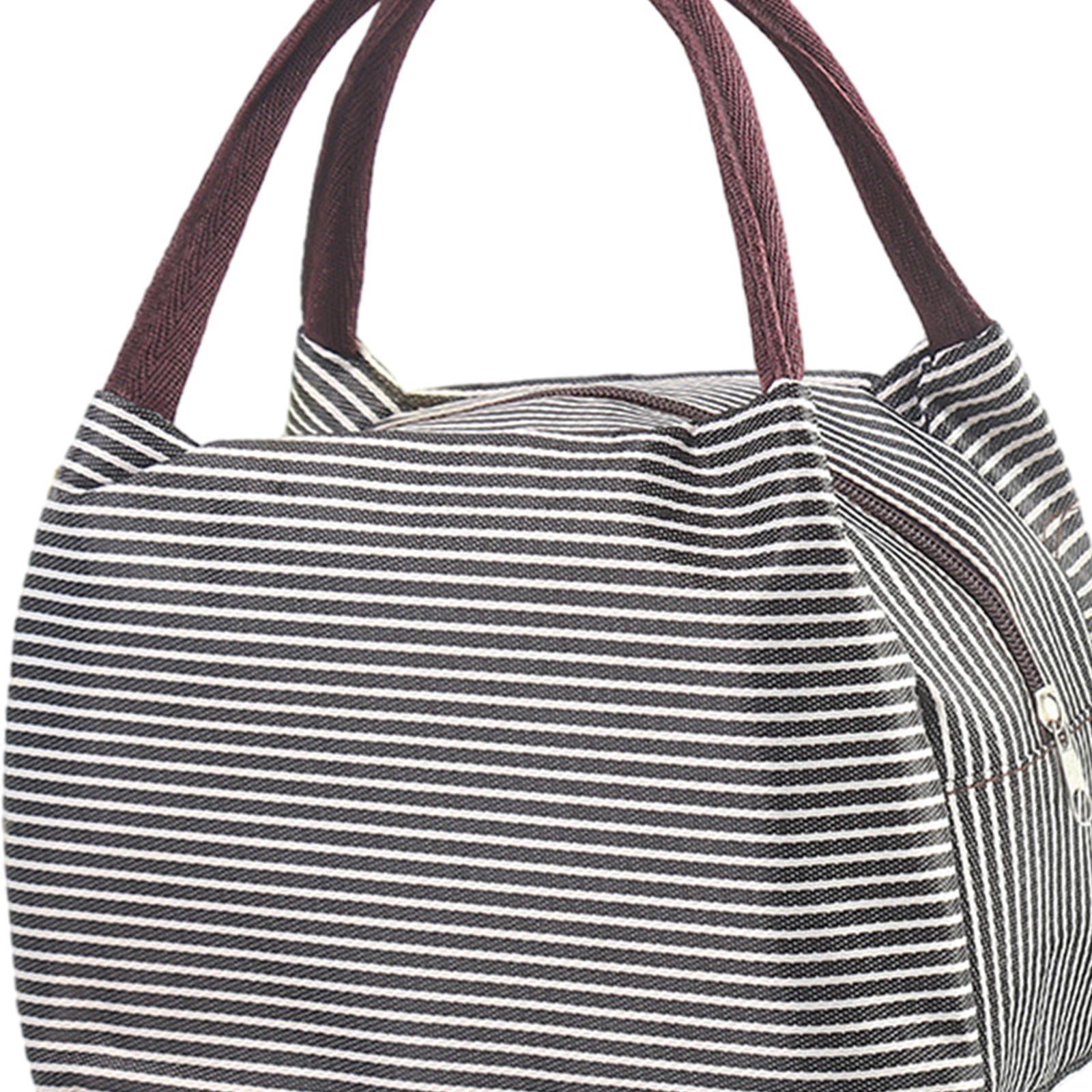 Portable Lunch Lunch Box with Handle Picnic Food Box Bags Large Capacity Lightweight Durable Portable Picnic Tote for Hiking Gym Fishing