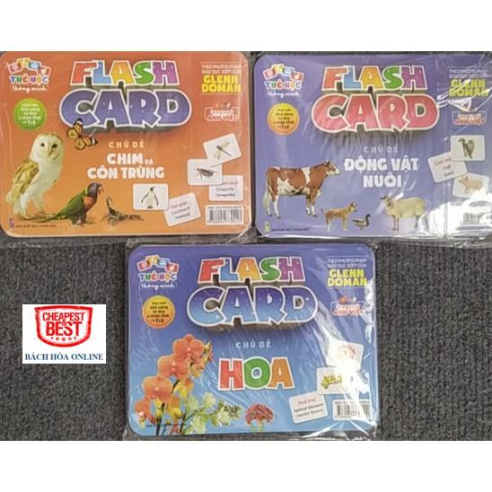 Flash card song ngữ Anh Việt theo chủ đề - Lô tô cho trẻ mầm non