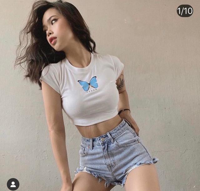 Áo thun lụa croptop in bướm trendy lắm nhé