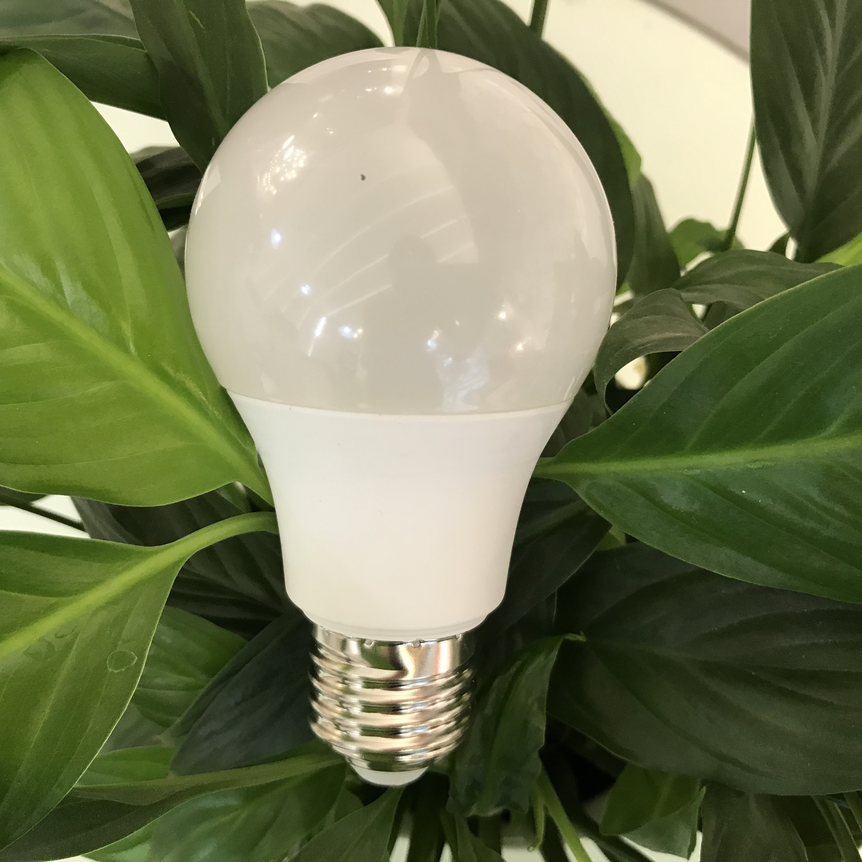 Bóng đèn LED bulb tròn LEDGOES 9W