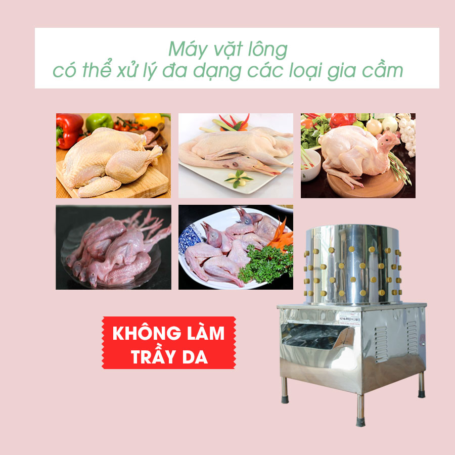 Máy vặt lông gà vịt Việt Nam Newsun 70 - Hàng Chính Hãng