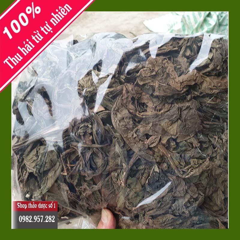 Lá Khôi cây khôi nhung-1KG Thảo Dược Số 1