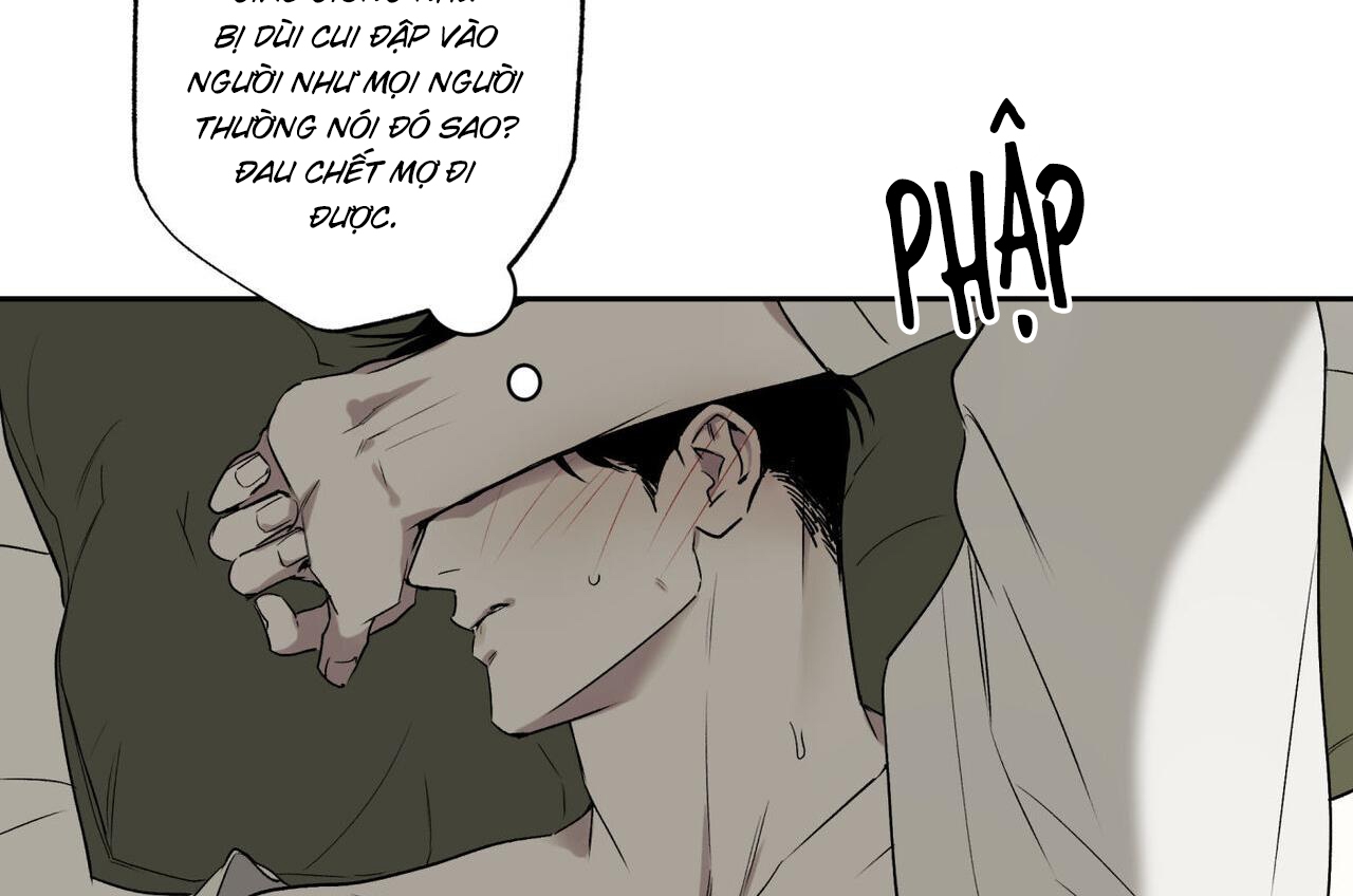 chàng giao pizza và gold palace chapter 45 232