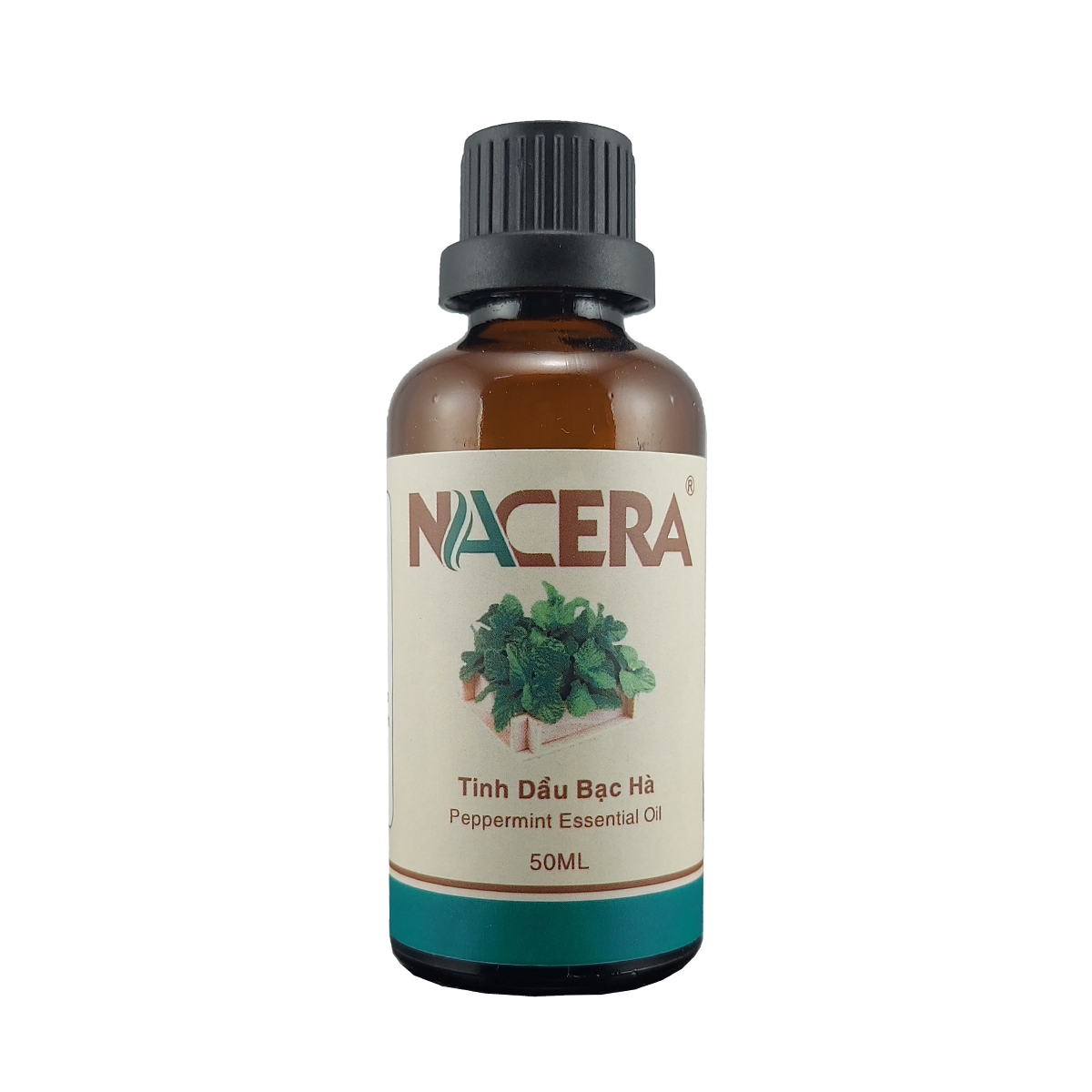 Tinh dầu Bạc Hà 10ml  Giúp làm thơm phòng, kháng khuẩn, có kiểm định chất lượng