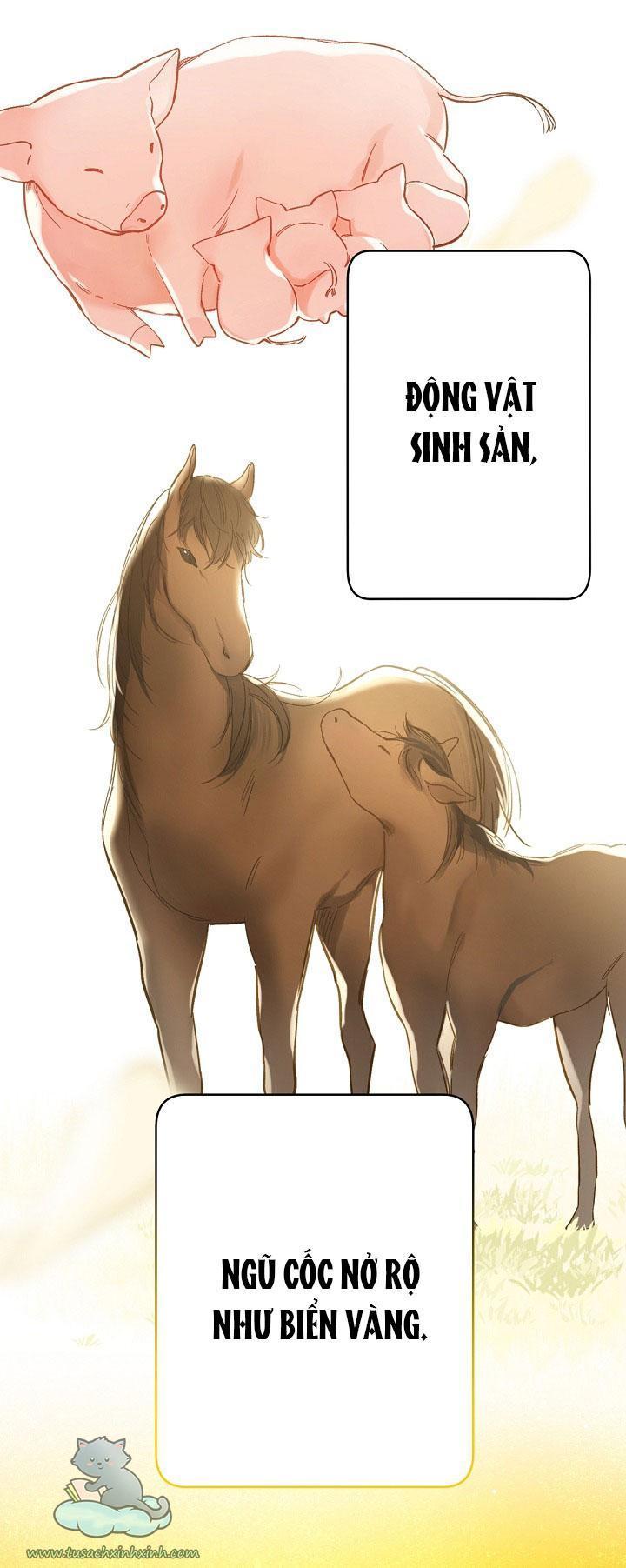 trang trại hạt dẻ cạnh hoàng cung chapter 1 60