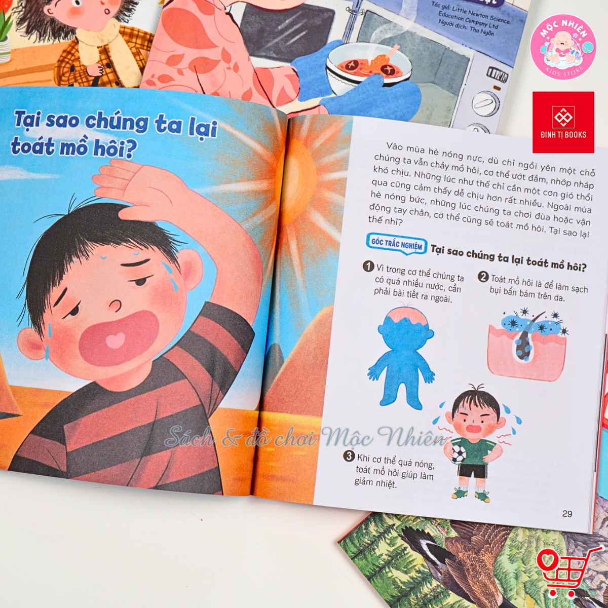 Sách - Wow, thì ra là thế! Dành cho bé từ 6-12 tuổi - Đinh Tị Books