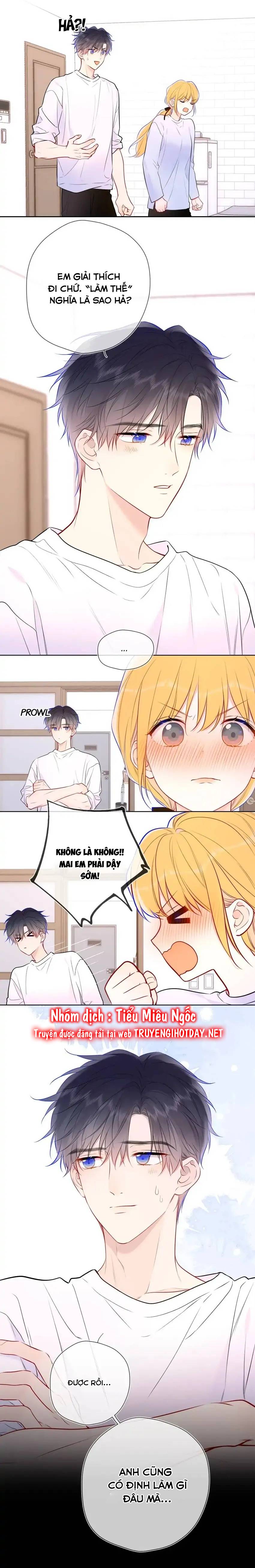 Vì Sao Của Tôi chapter 144 - Trang 11