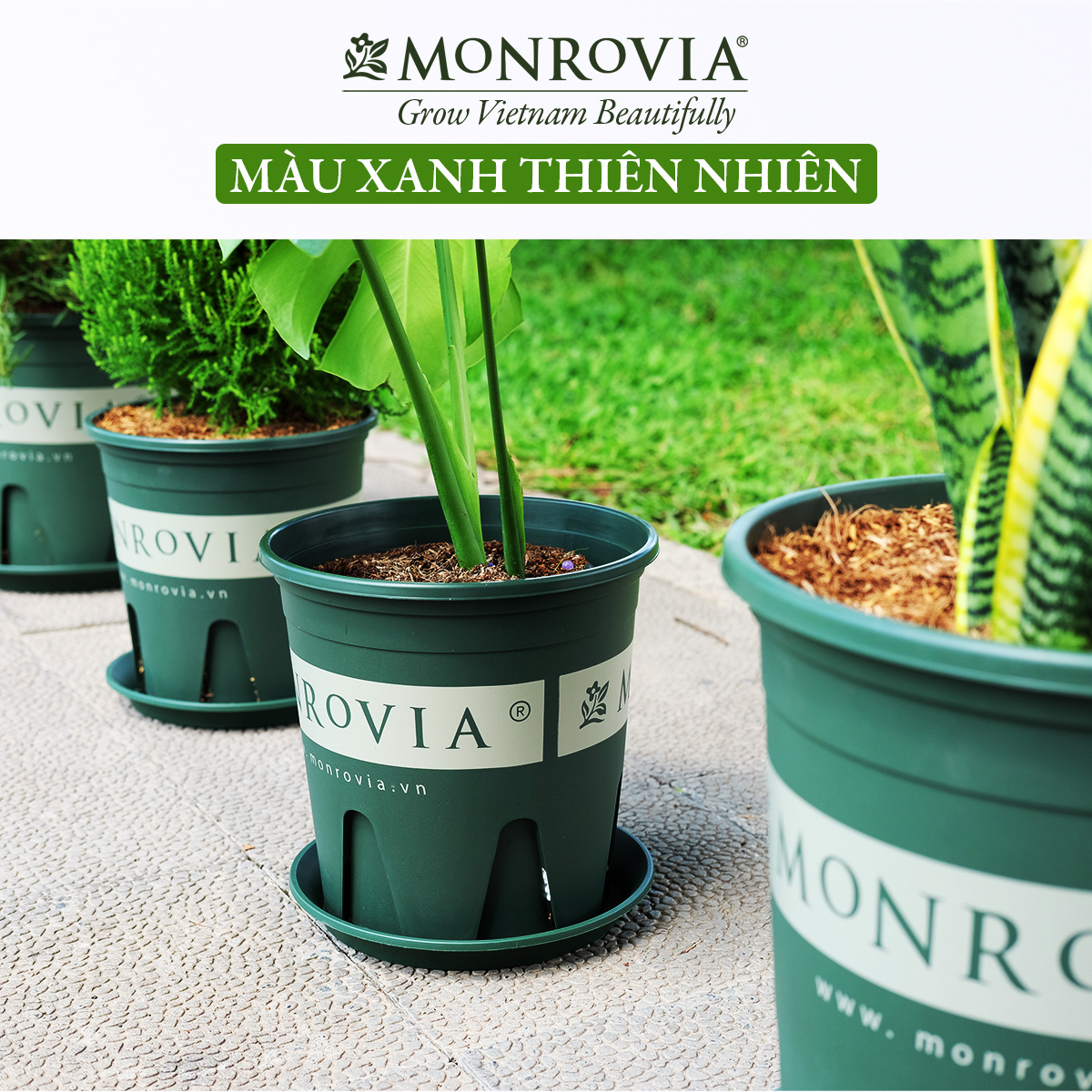 Chậu nhựa trồng cây MONROVIA 6 Gallon, Dòng M-Series, chậu trồng cây, chậu cây cảnh mini, để bàn, treo ban công, treo tường, cao cấp, chính hãng thương hiệu MONROVIA
