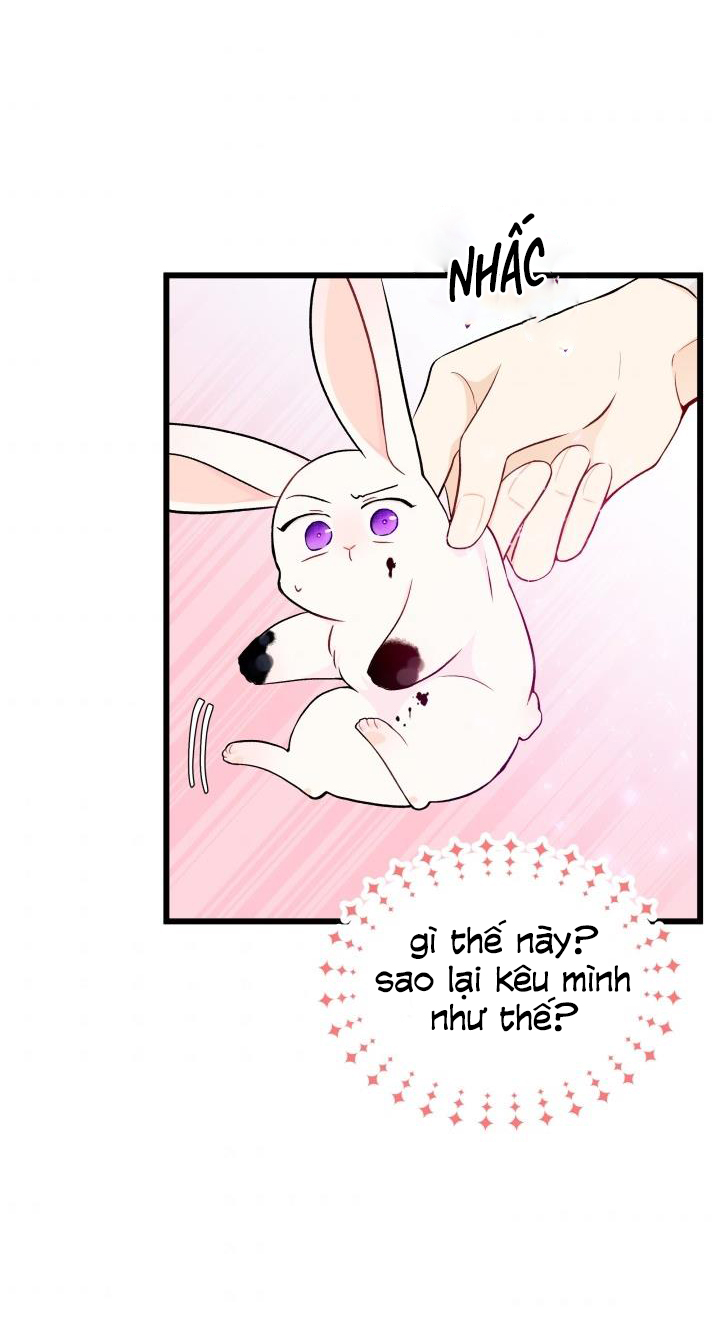 mối liên kết giữa báo đen và bé thỏ chapter 10 51