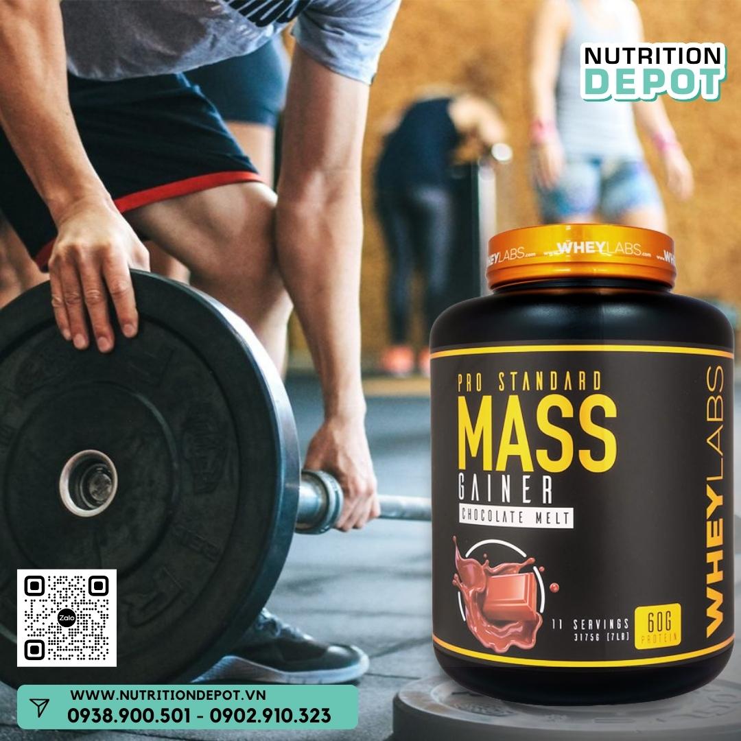 COMBO 2 hũ Sữa tăng cân và tăng cơ Wheylabs Pro Standard Mass 7lbs – Vị Chocolate Melt – TẶNG KÈM 1 wheylabs BCAA 30 lần dùng