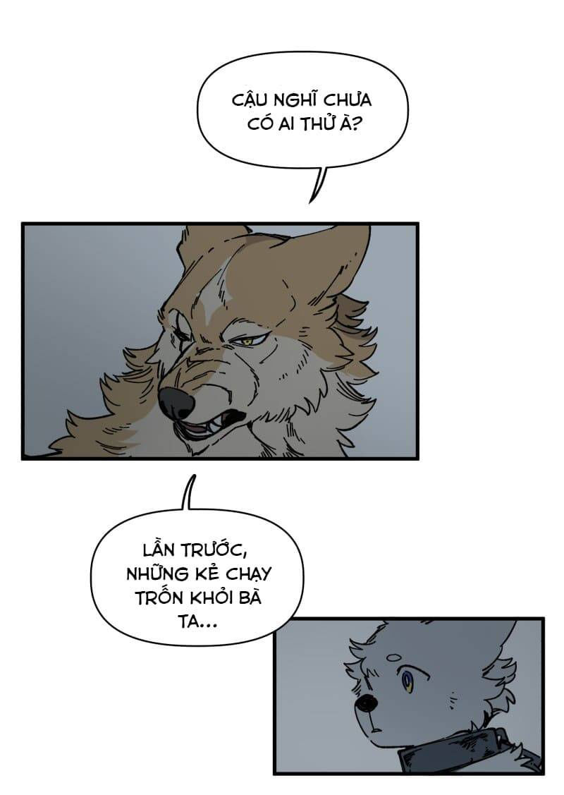 lumine - cội nguồn ánh sáng chapter 140 15