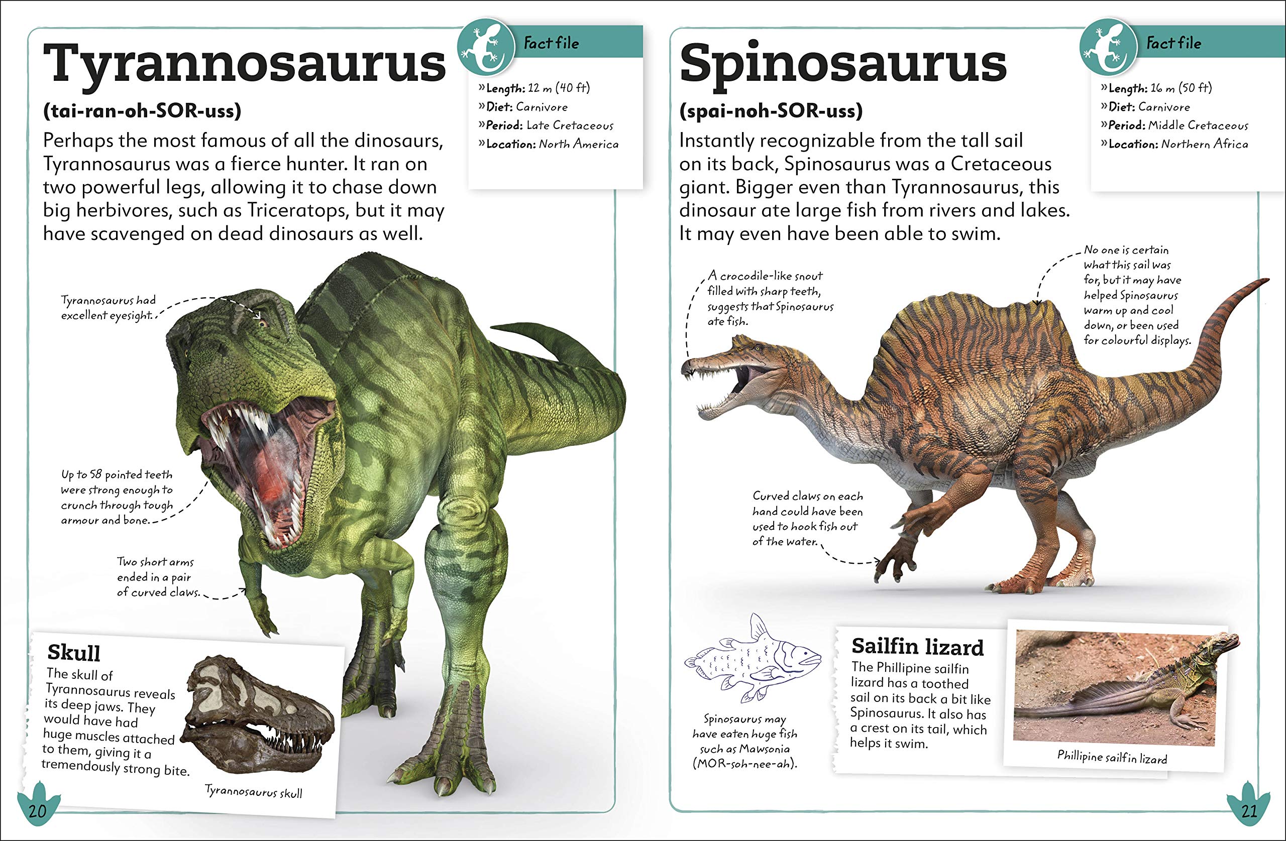 My Book Of Dinosaurs And Prehistoric Life: Animals And Plants To Amaze, Surprise, And Astonish!