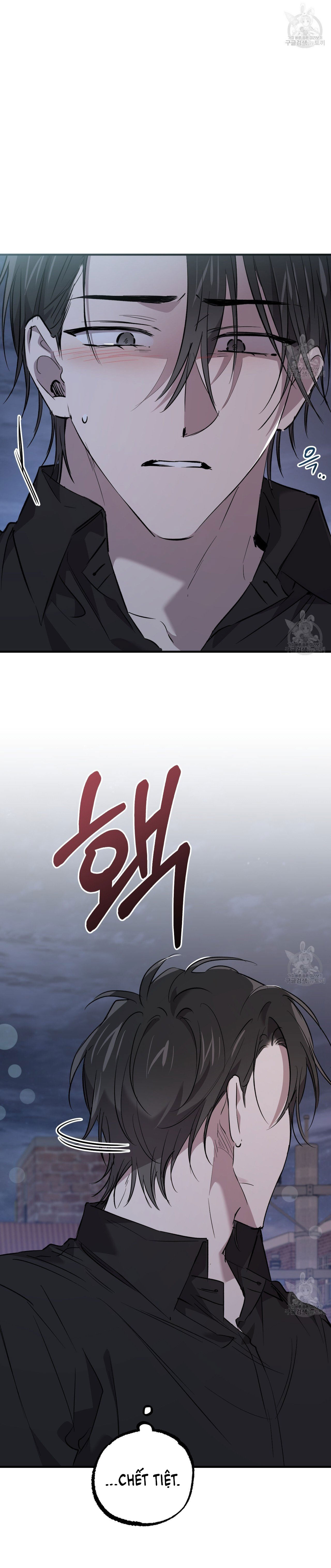 những chú thỏ của hapypy chapter 60.1 10