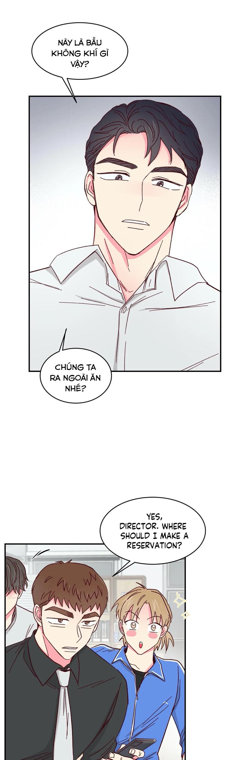 món tráng miệng của sếp tổng chapter 51 24