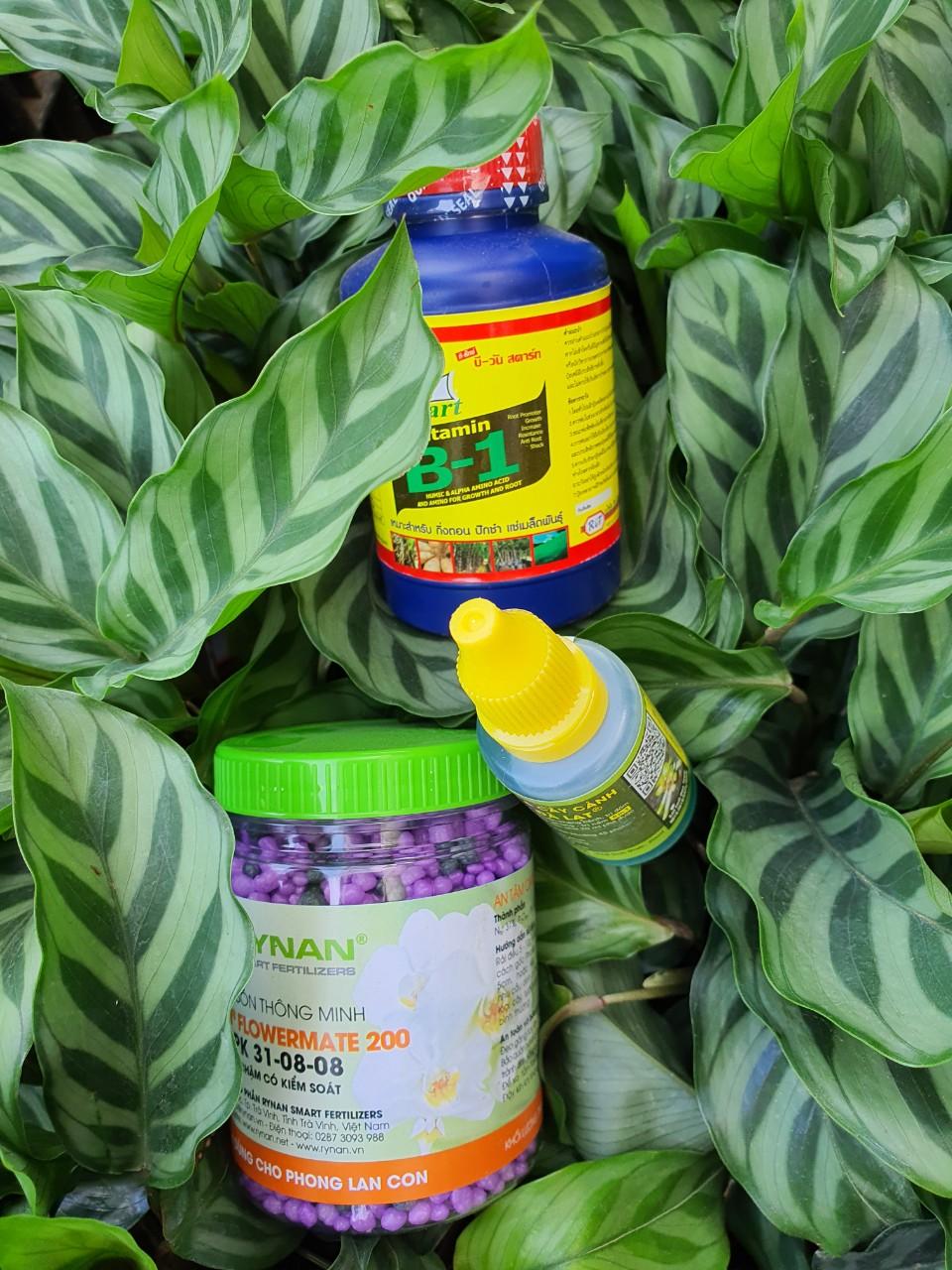 Bộ sản phẩm giúp phòng trừ nấm, phát triển Hoa Lan, Cây Cảnh