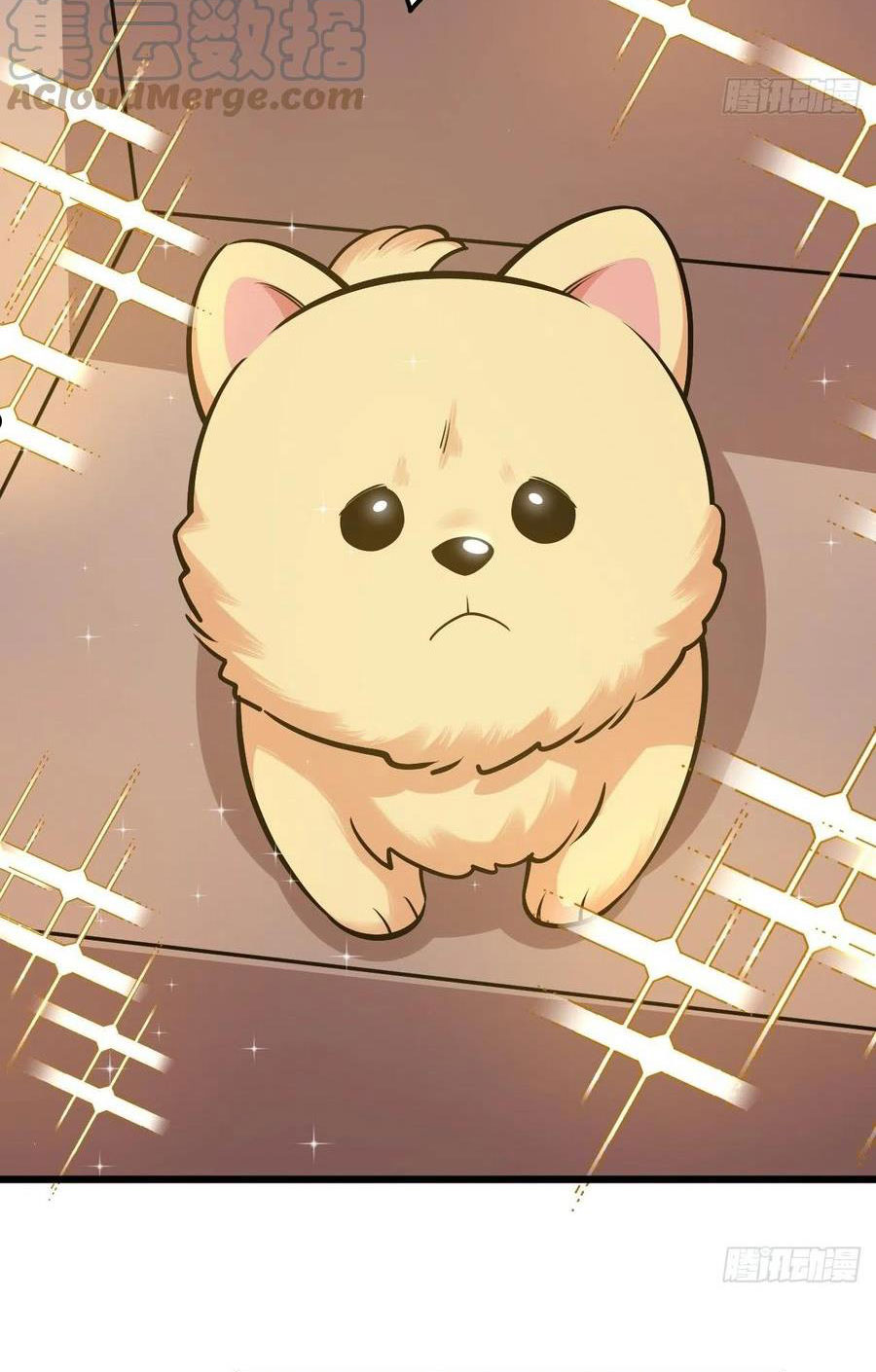 bố vợ đại nhân là bà xã chapter 207 30