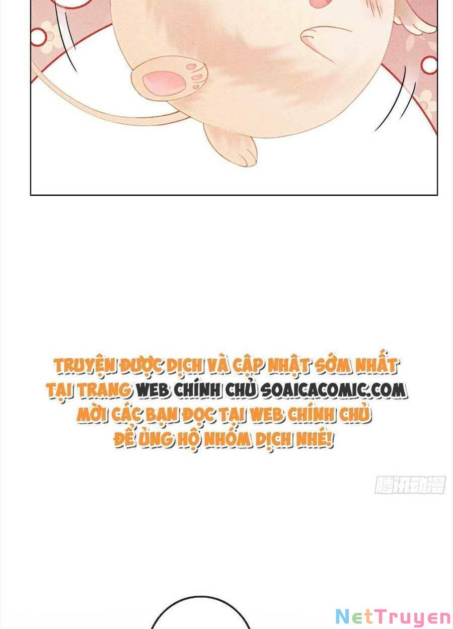 bắt đầu hủy hôn để công lược vương gia chapter 49 59