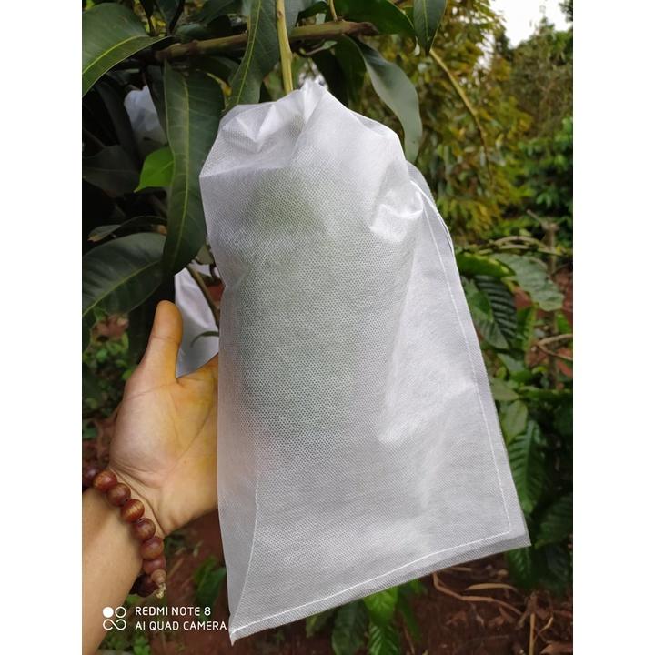 100 CÁI TÚI BAO,BỌC XOÀI ,NHO,CHÙM NHO, KHỔ QUA,BƠ 034...