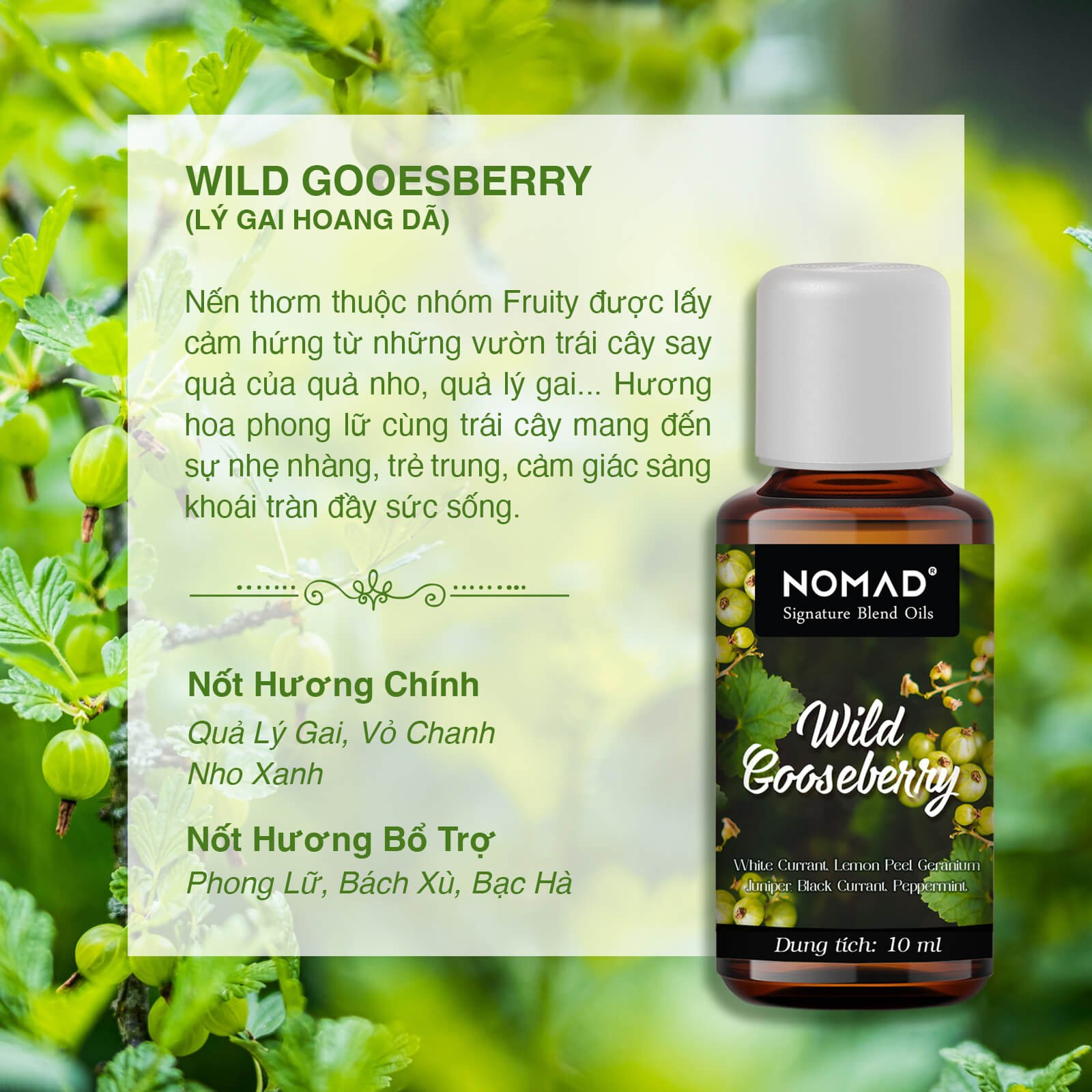 Tinh Dầu Thơm Cao Cấp Nomad Signature Blend Oils - Wild Gooseberry