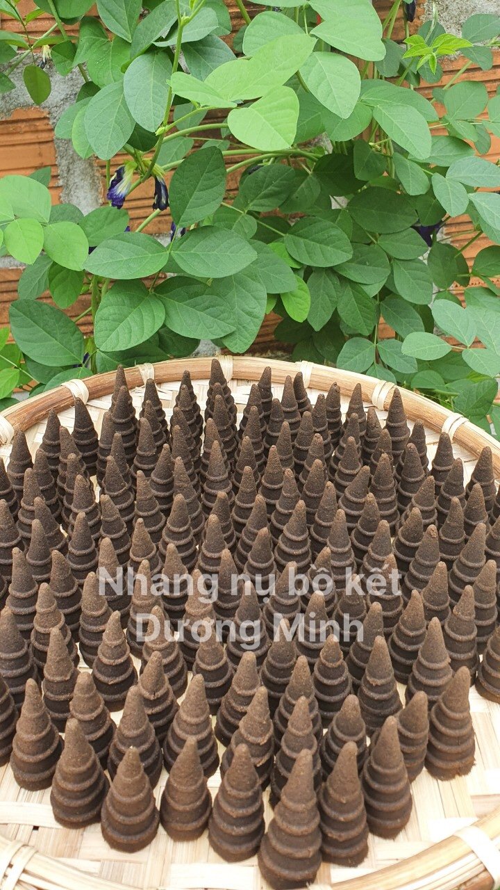 Nhang nụ Bồ Kết đuổi muỗi xông nhà Dương Minh 100% thành phần tự nhiên hương không hóa chất nhang nụ thảo mộc khử khuẩn