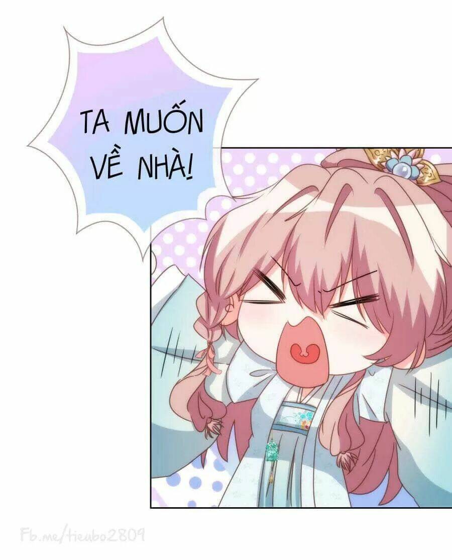 ồ, phu quân đáng yêu của tôi! chapter 84 34