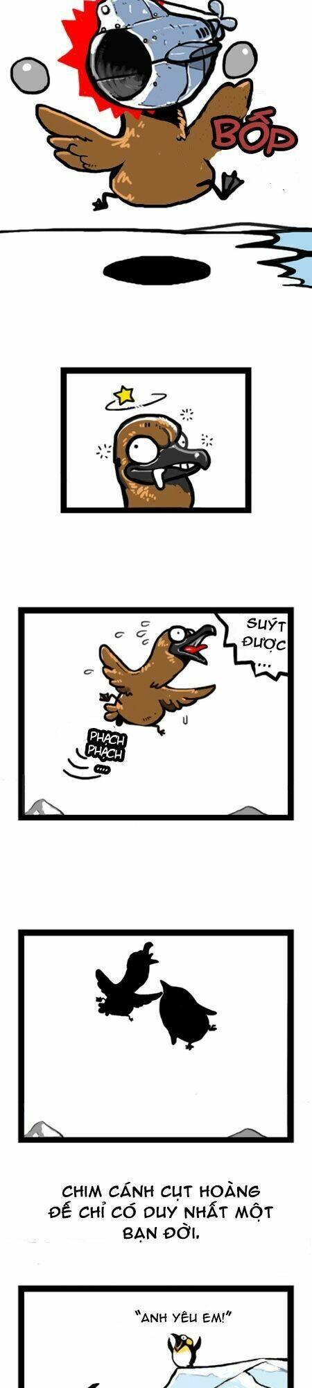 earth, human, and animal chapter 7 10