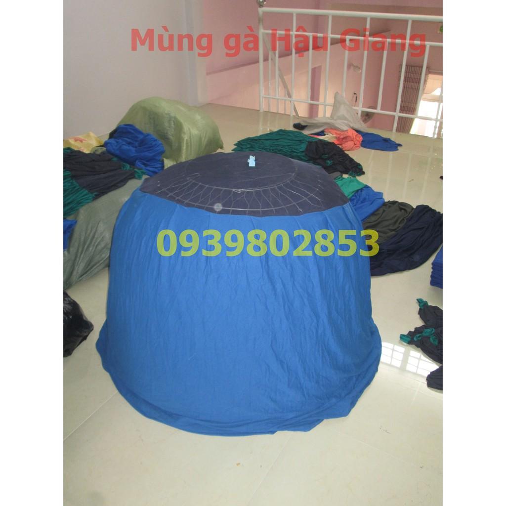 Mùng gà nòi loại tốt