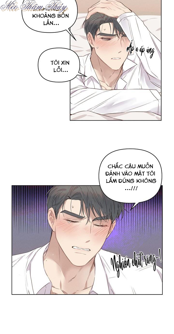nơi tình yêu định mệnh chapter 3 8