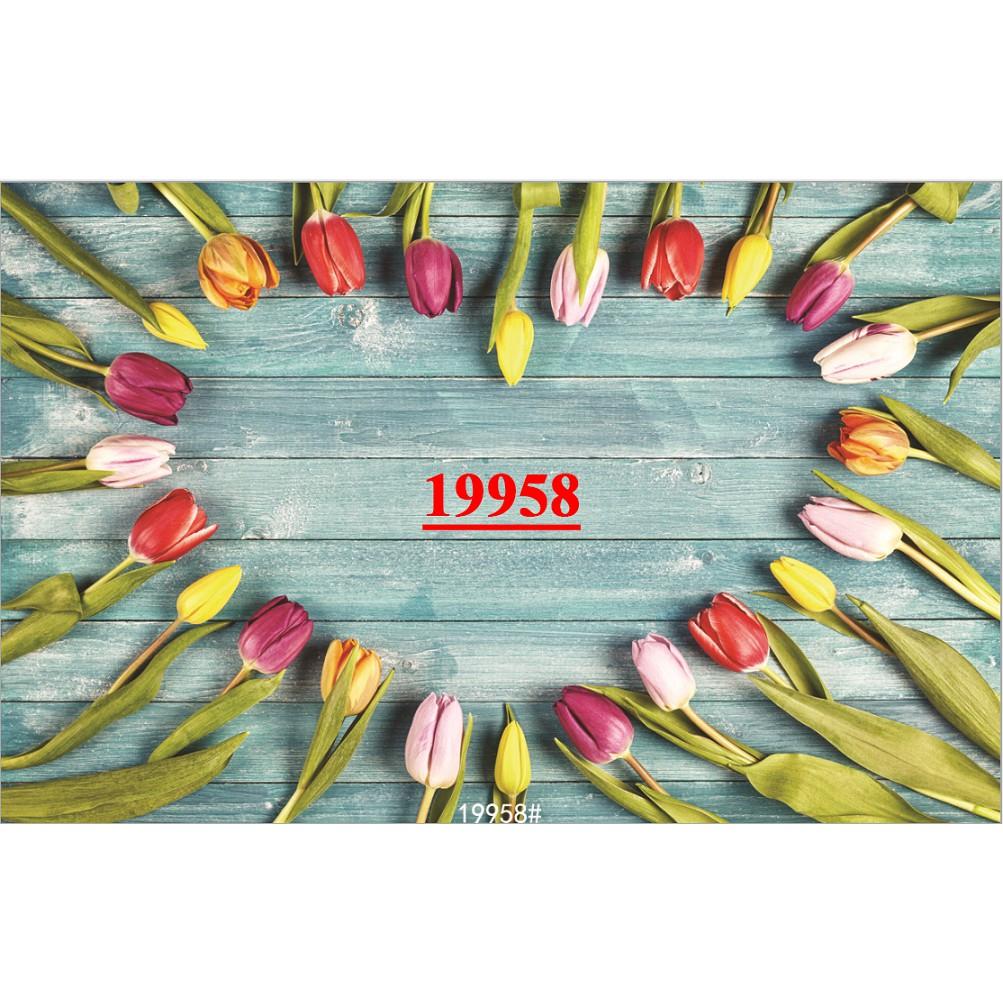 TẤM PHÔNG CHỤP ẢNH NỀN CHỤP ẢNH THẢM CHỤP ẢNH MS 19958 CHAT ĐỂ CHỌN MẪU