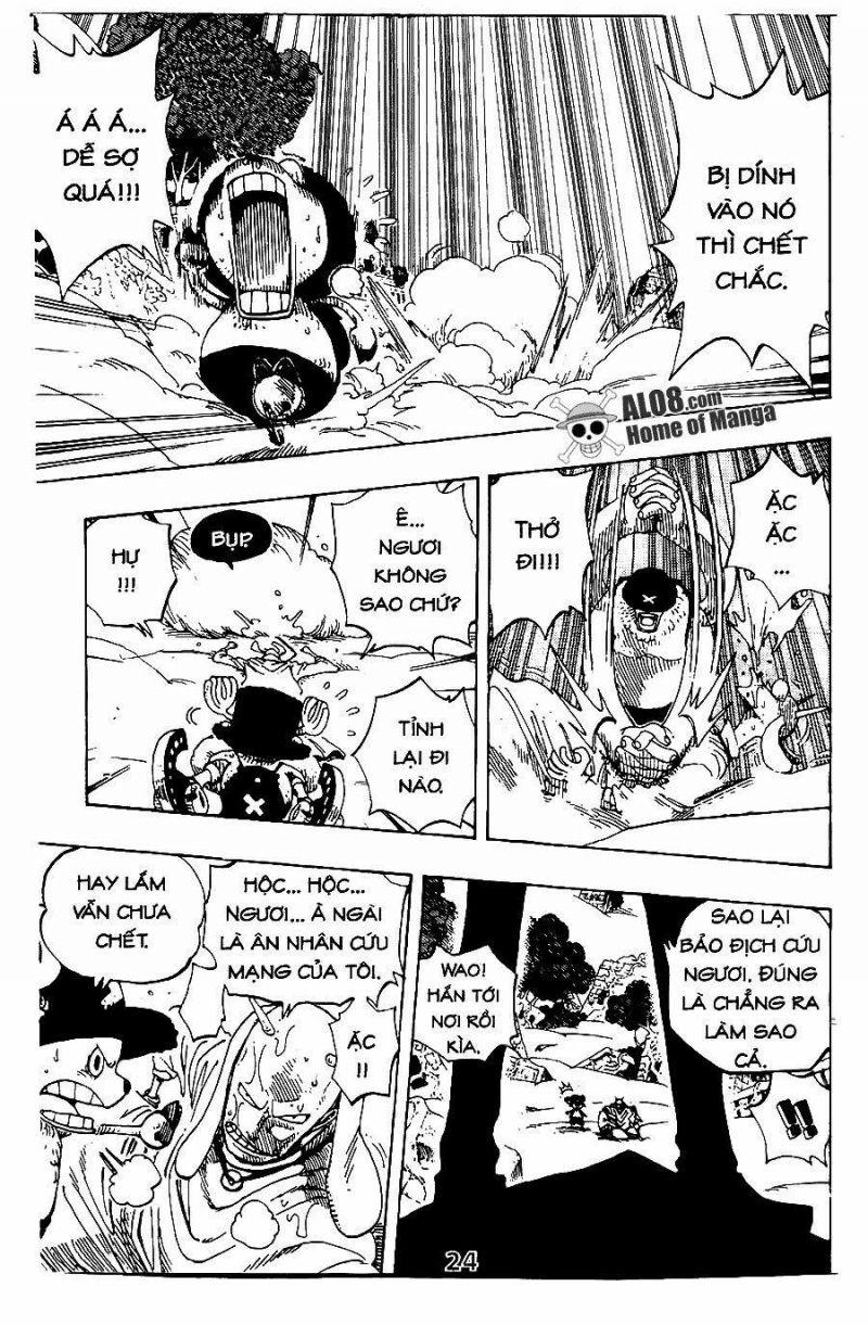 đảo hải tặc - one piece chapter 262 11
