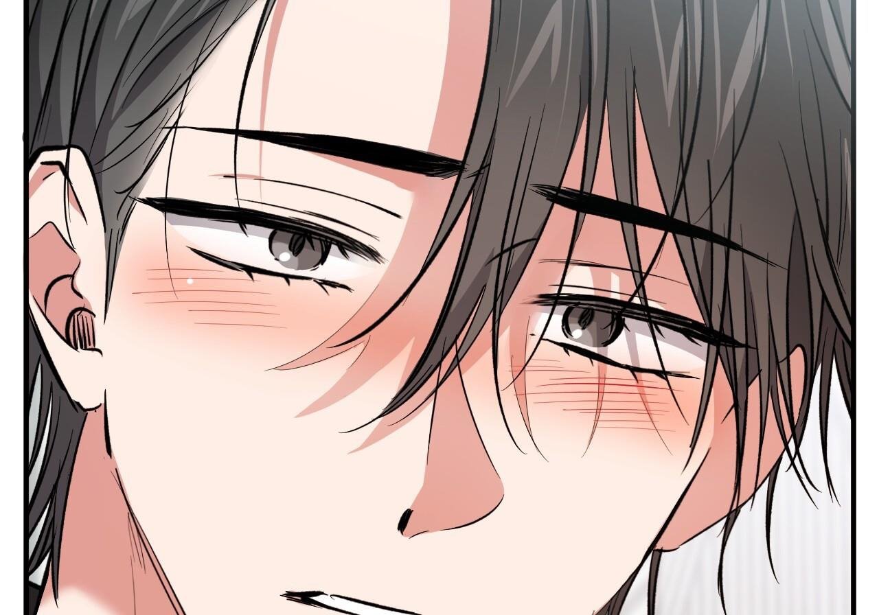 những chú thỏ của hapypy chapter 60 254