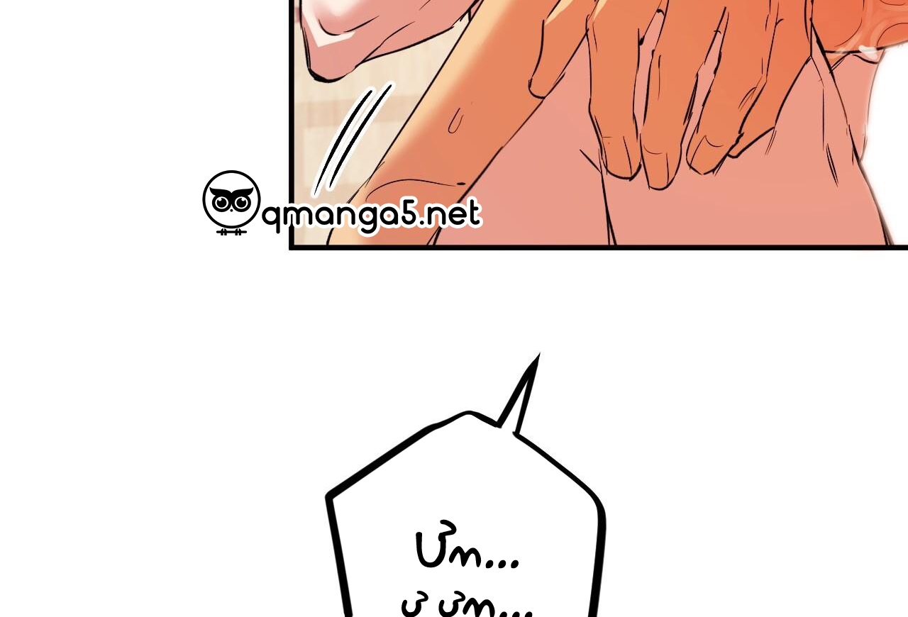 đàn thỏ của habibi chapter 63 194