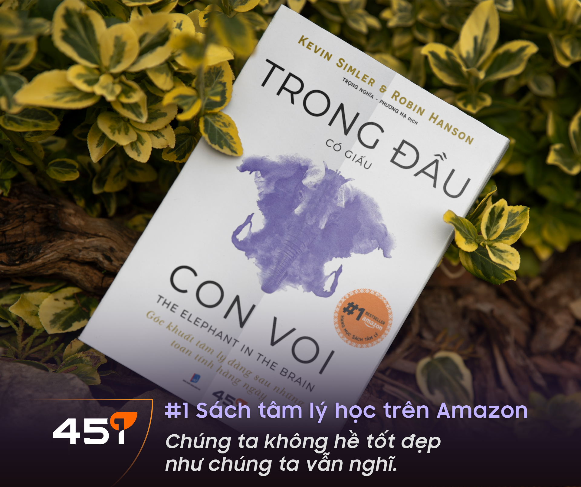 Trong Đầu Có Giấu Con Voi