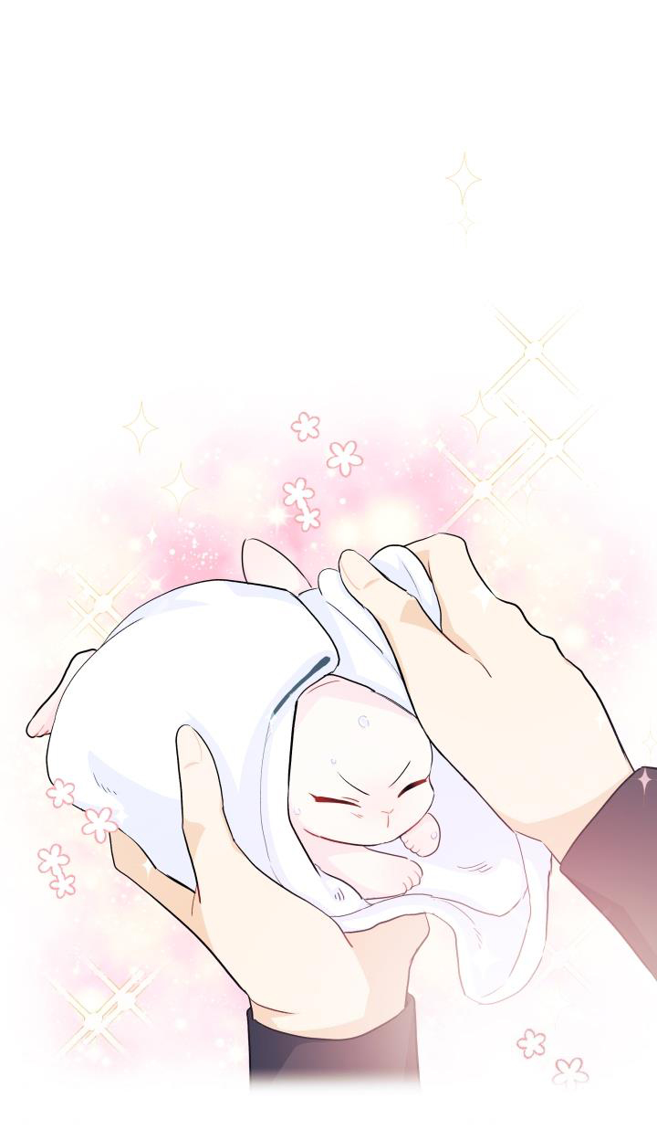 mối liên kết giữa báo đen và bé thỏ chapter 10 2