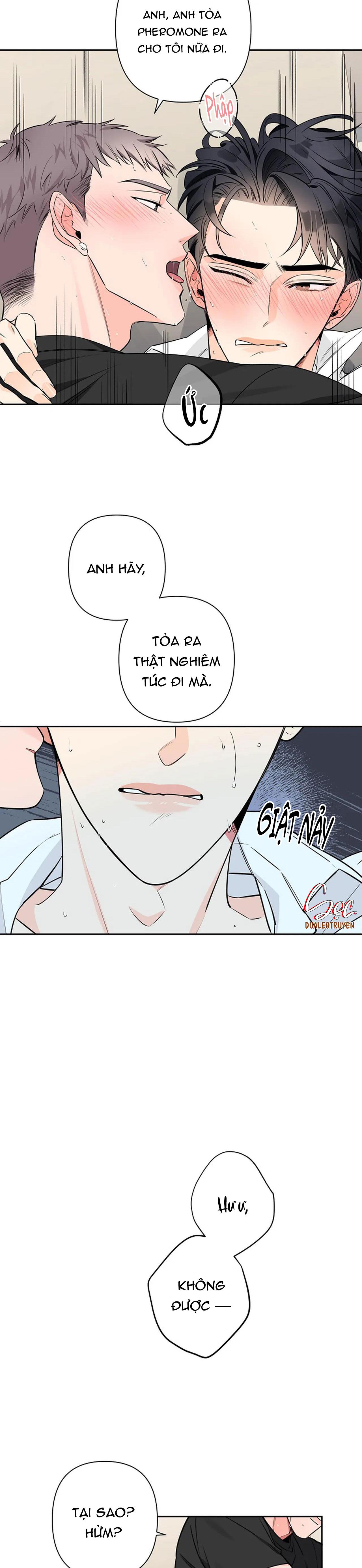đêm dịu dàng chapter 31 28