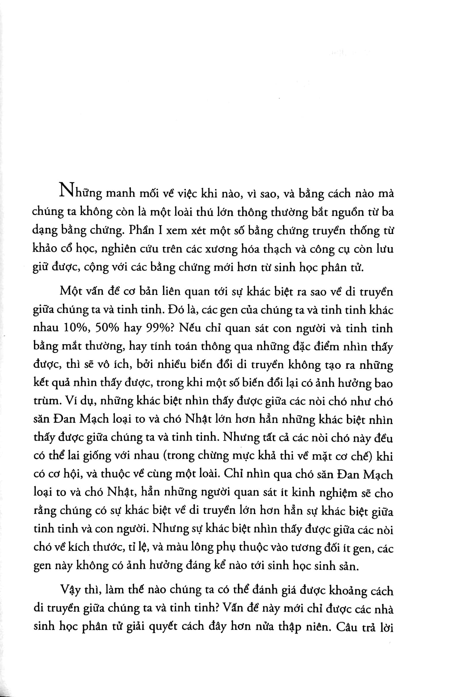 Loài Tinh Tinh Thứ Ba
