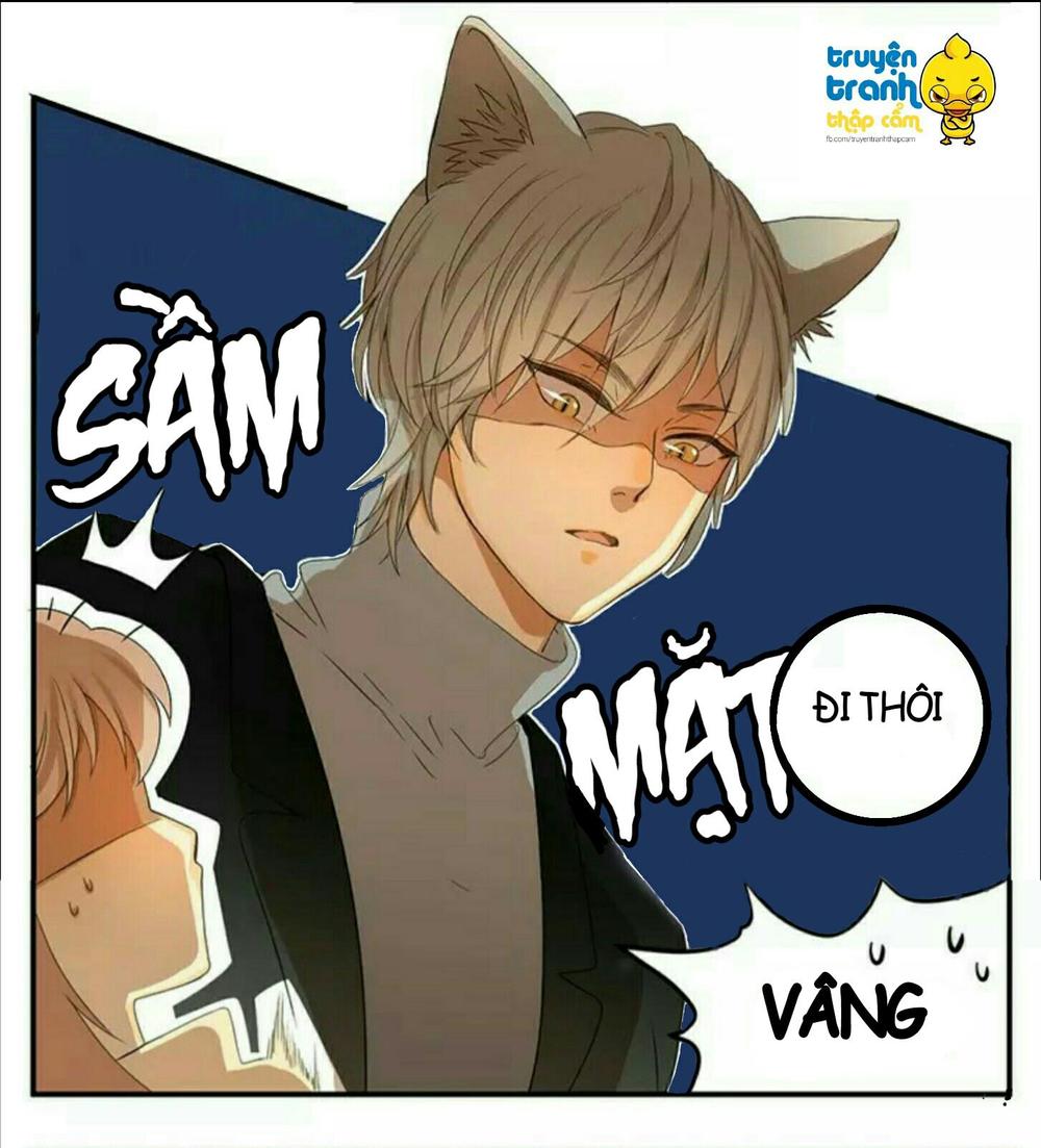 cứu mạng ! loài mèo thống trị thế giới rồi ! chapter 38 8