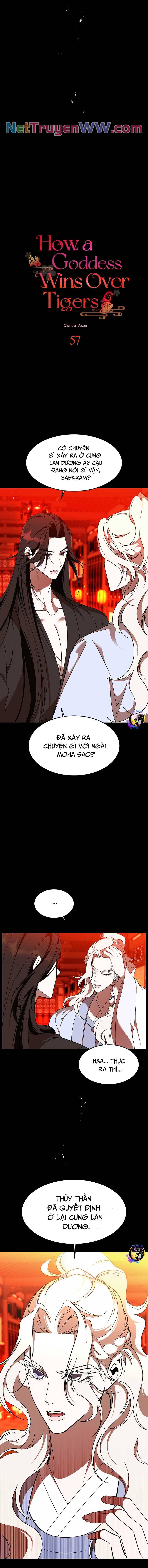 chiến lược săn hổ của nữ thần chapter 57 2