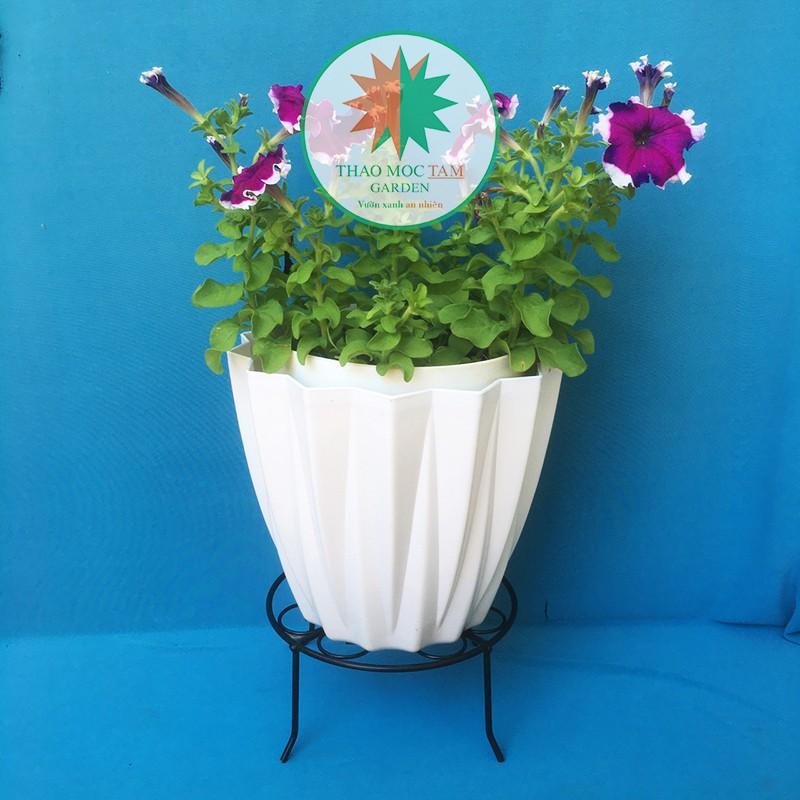 Combo 10c Chân đế kê chậu 21x10cm – Chân đế sắt kê chậu thoát nước, trang trí chậu hoa, nâng đỡ chậu cao hơn