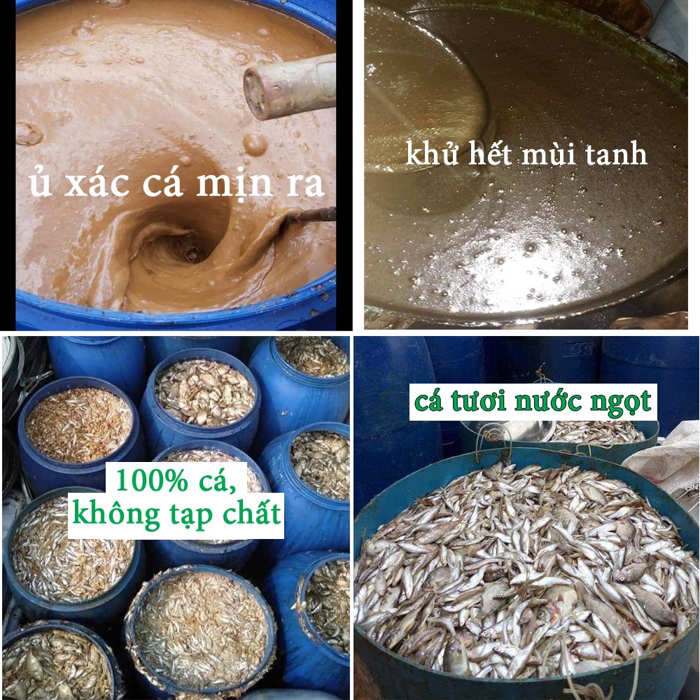 1 Lít - Phân Bón Hữu Cơ, Dịch đạm cá nước ngọt cô đặc, an toàn cho hệ sinh thái-76124