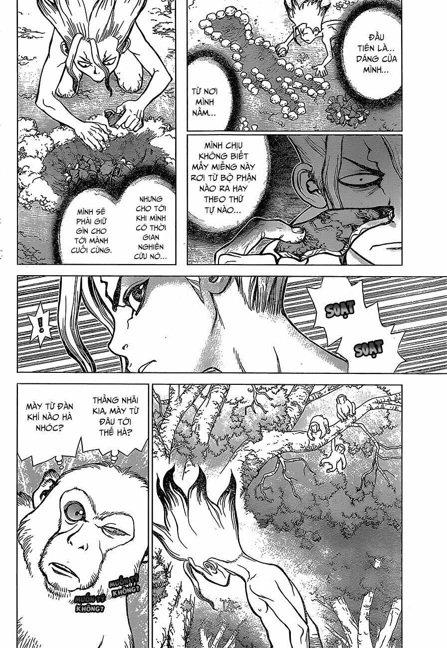dr.stone - hồi sinh thế giới chapter 13 5