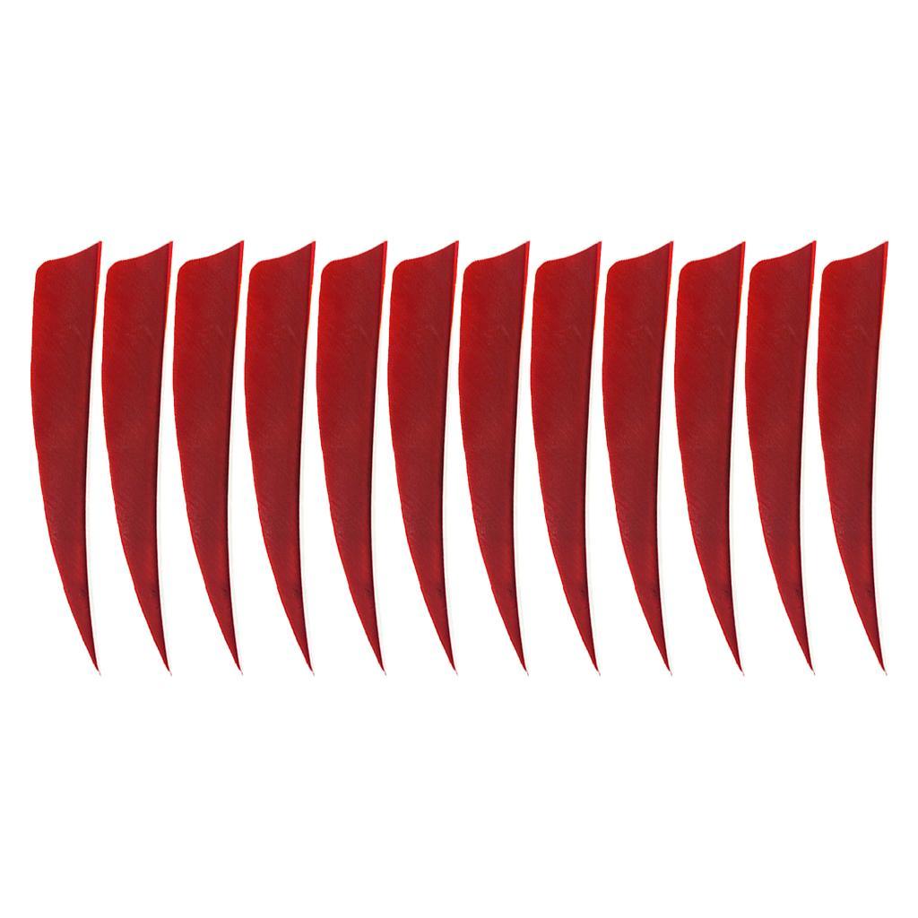 2-6pack 12 Pieces 4 Inch Archery Arrow Feathers Fletchings Vanes Red